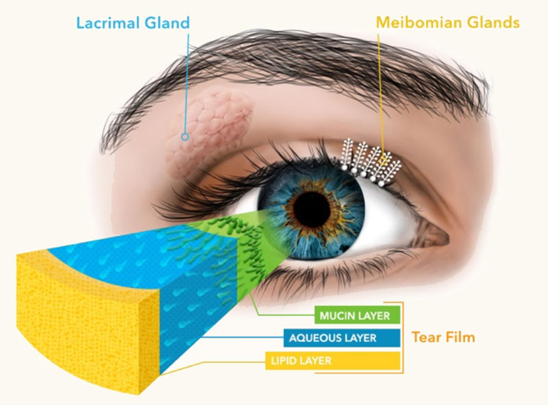 Oasis Eye Face and Skin, Ashland, OR