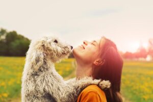 A fluffy white dog leans affectionately on a girl in a sunny field filled with yellow flowers, capturing a joyful moment.