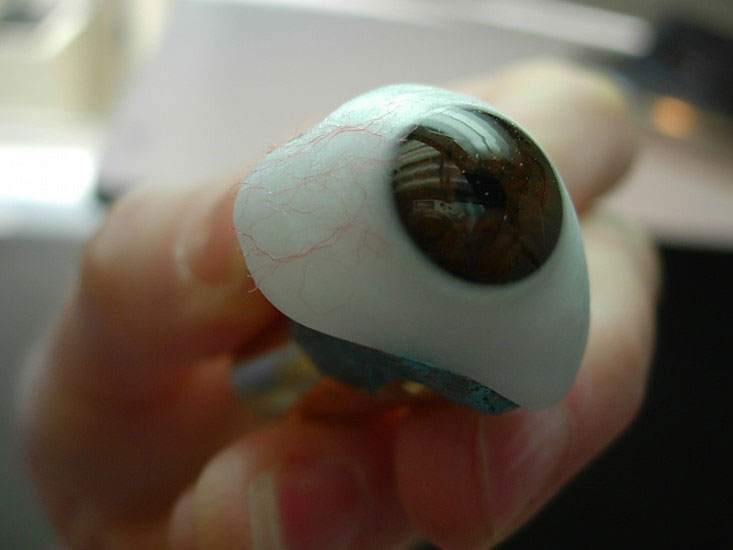 A close-up of an artificial eyeball held in a hand, featuring a realistic brown iris and a smooth white sclera.